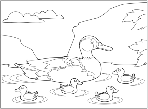 Teal Duck Coloring Page